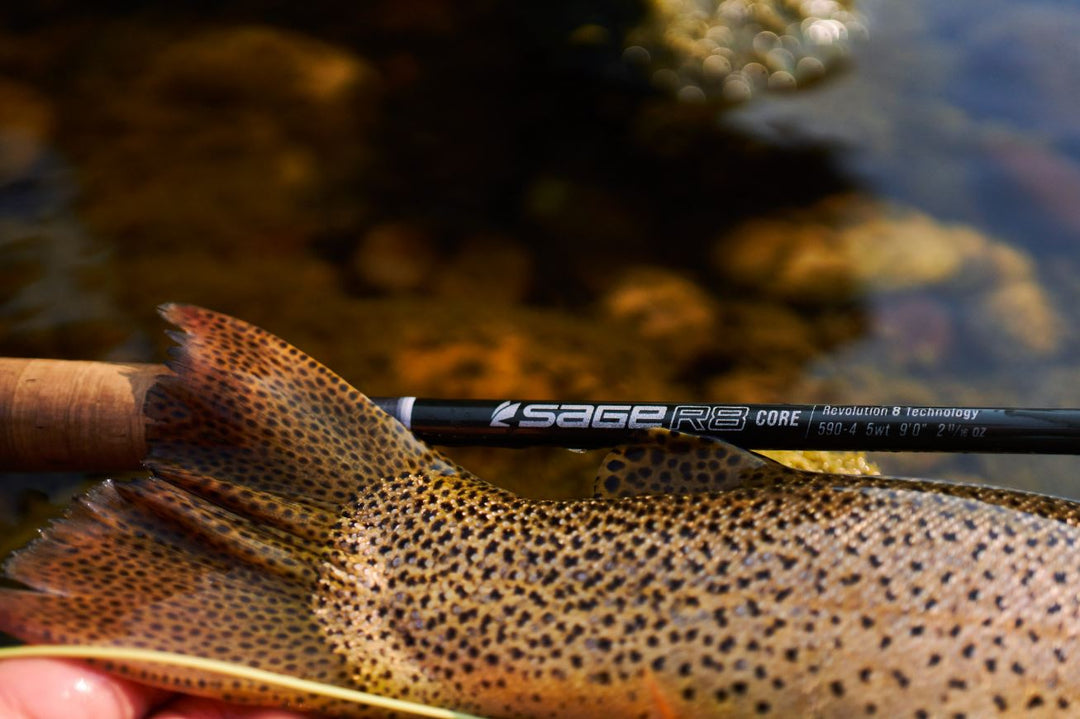 Shop Sage Rods