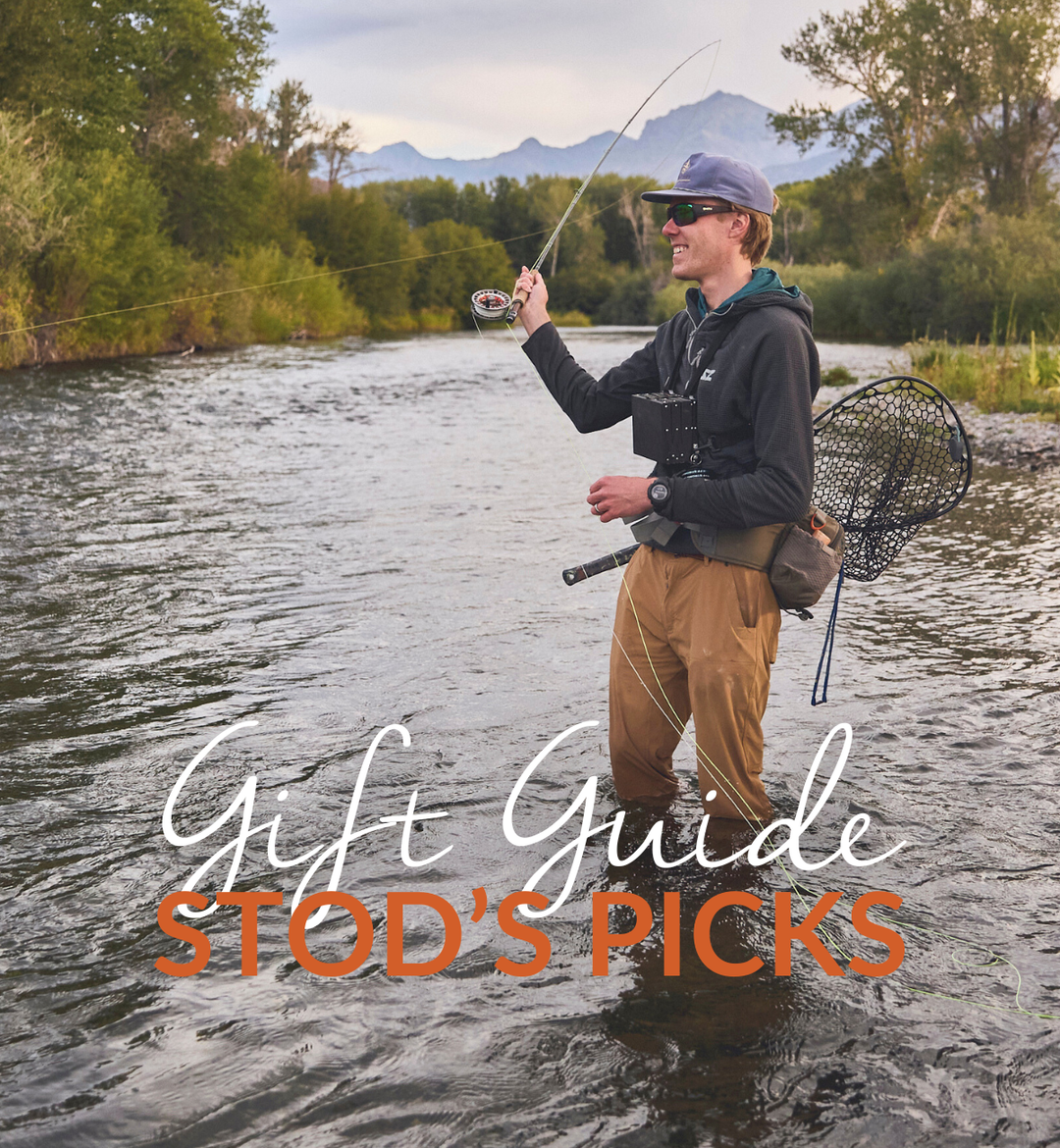 Staff Picks: Stoddard