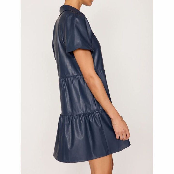 Havana Vegan Leather Dress