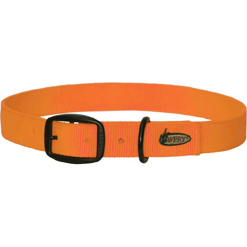 Orange Collar Medium